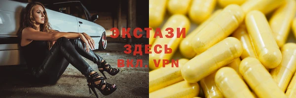 хмурый Аркадак