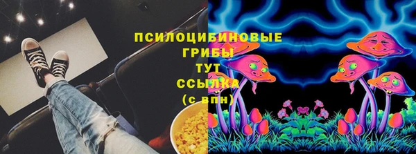 хмурый Аркадак