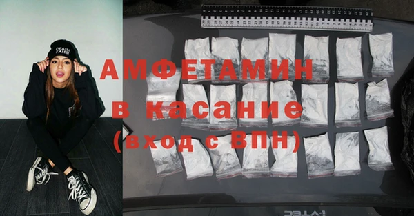 хмурый Аркадак