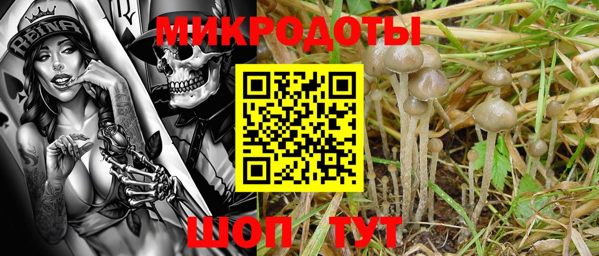 Псилоцибиновые грибы Psilocybe  Вход с VPN  Ступино 